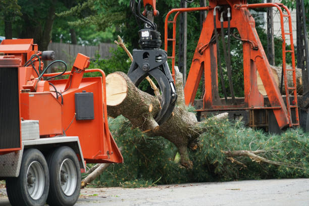 Best Commercial Tree Services  in Ponderay, ID